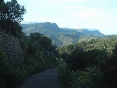 DSCF0043.JPG